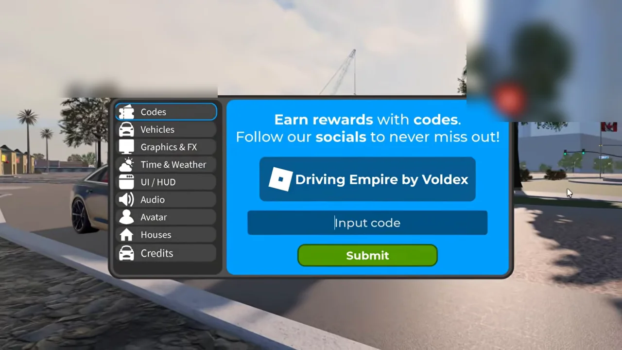 Settings menu displaying the Codes tab with input field